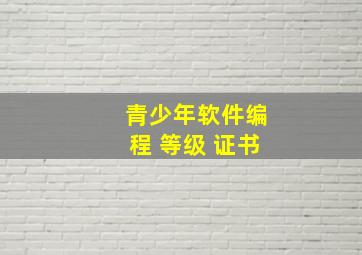 青少年软件编程 等级 证书